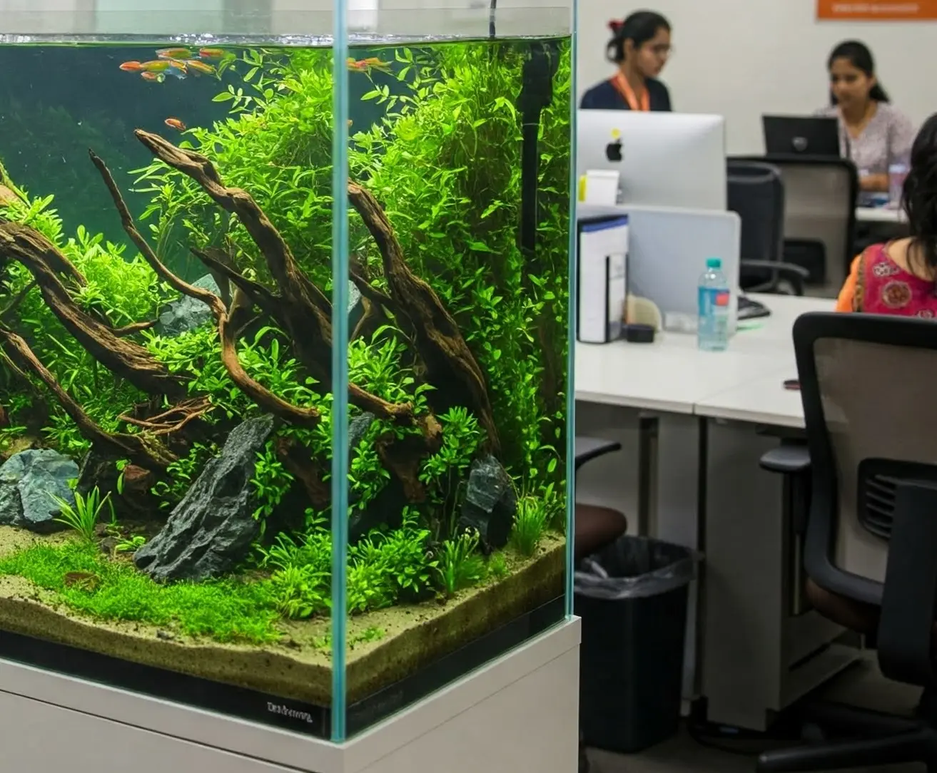 office aquarium fish tank 