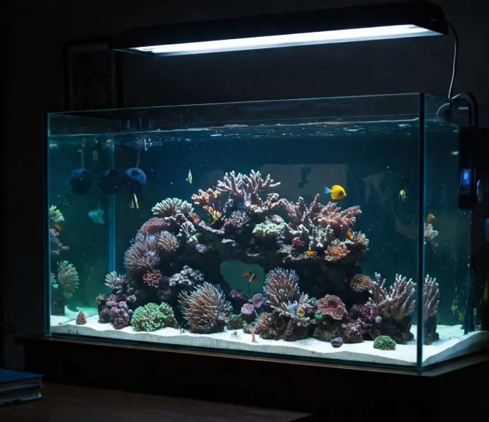 marine aquarium 