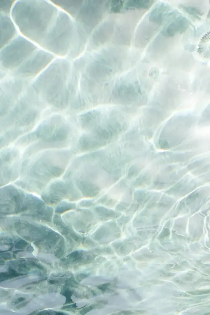 Master Aquarist Certification