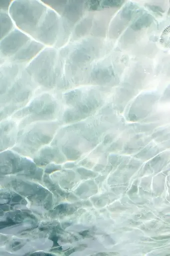 Master Aquarist Certification